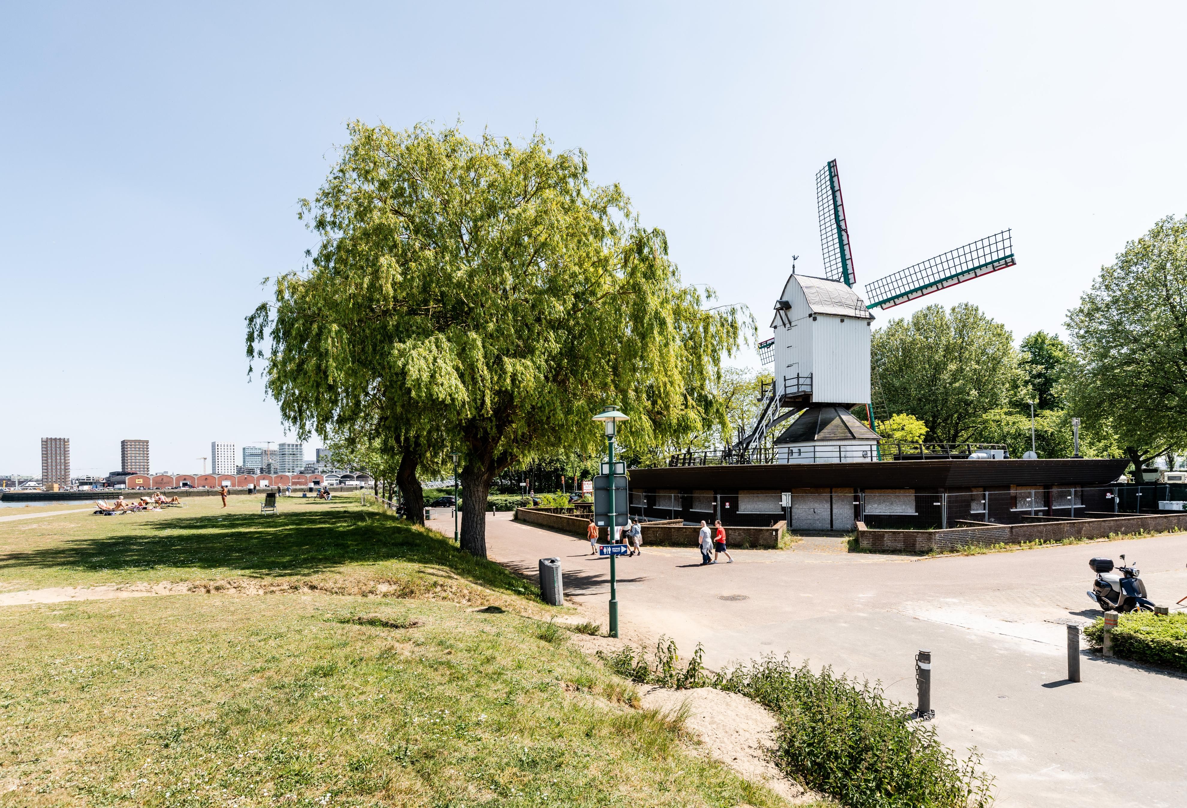 Witte molen van ver gefotografeerd met links twee treurwilgen.