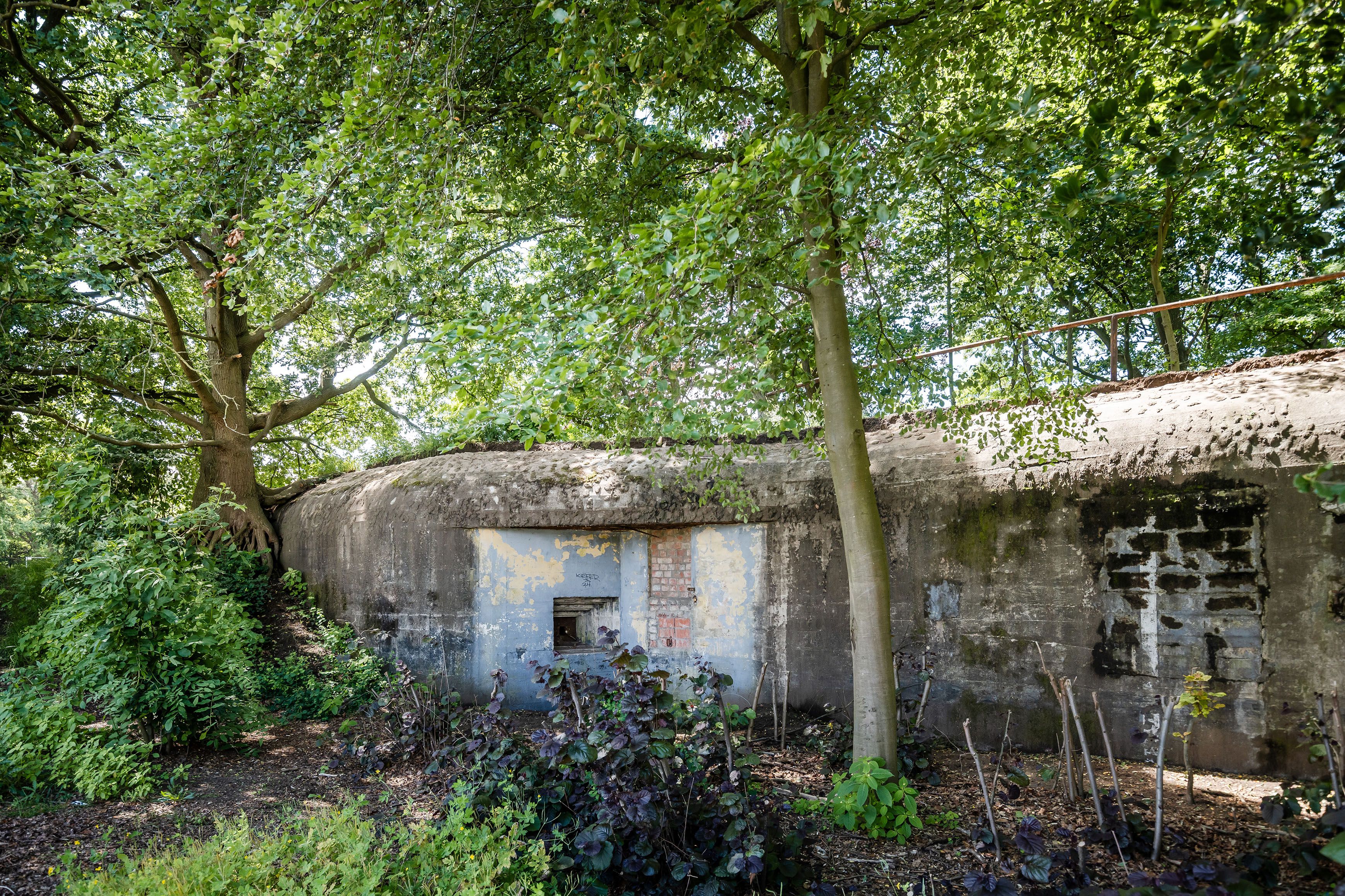 Een bunker, verstopt in het groen in het park Den Brandt.