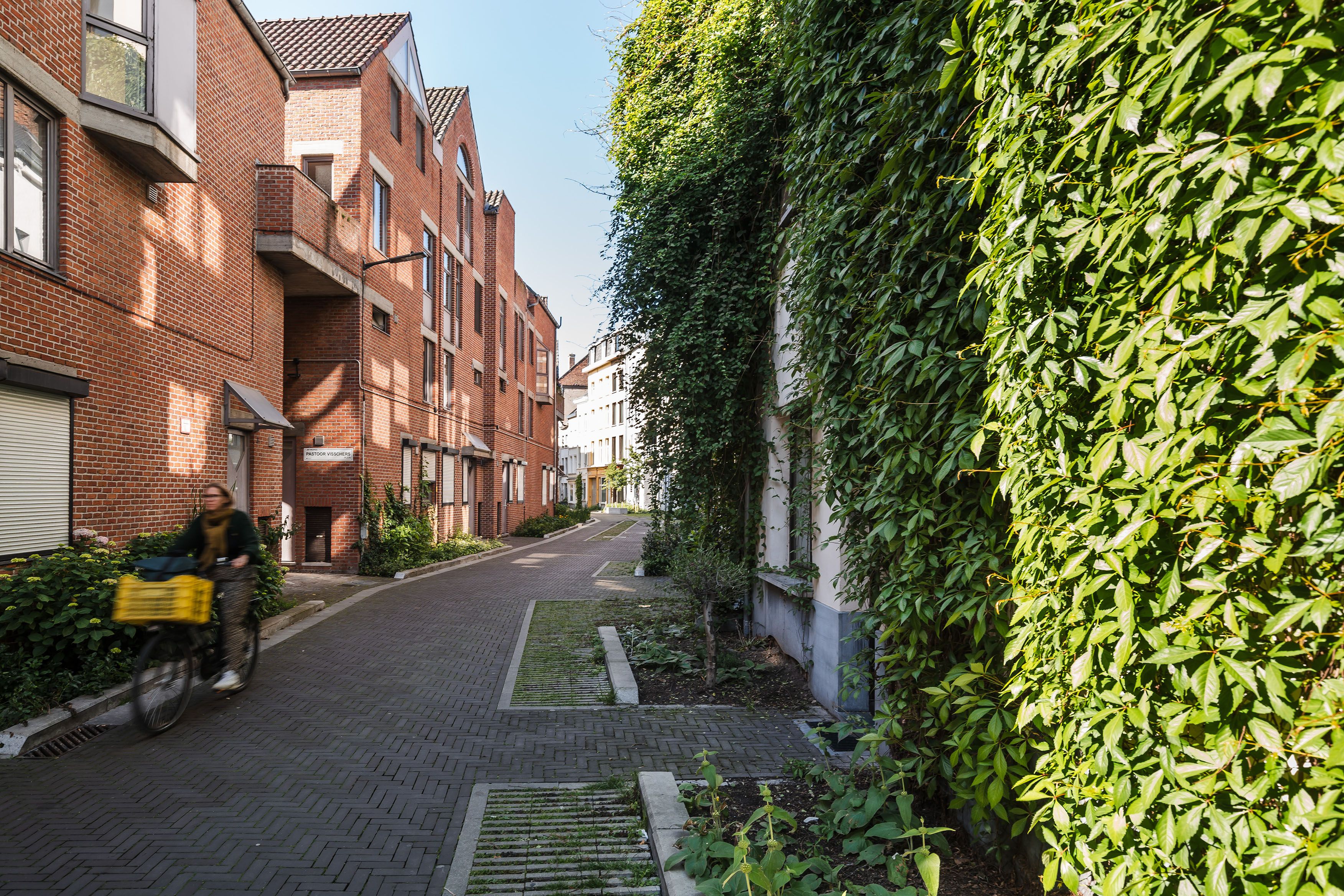 Straat in de Sint-Andrieswijk.