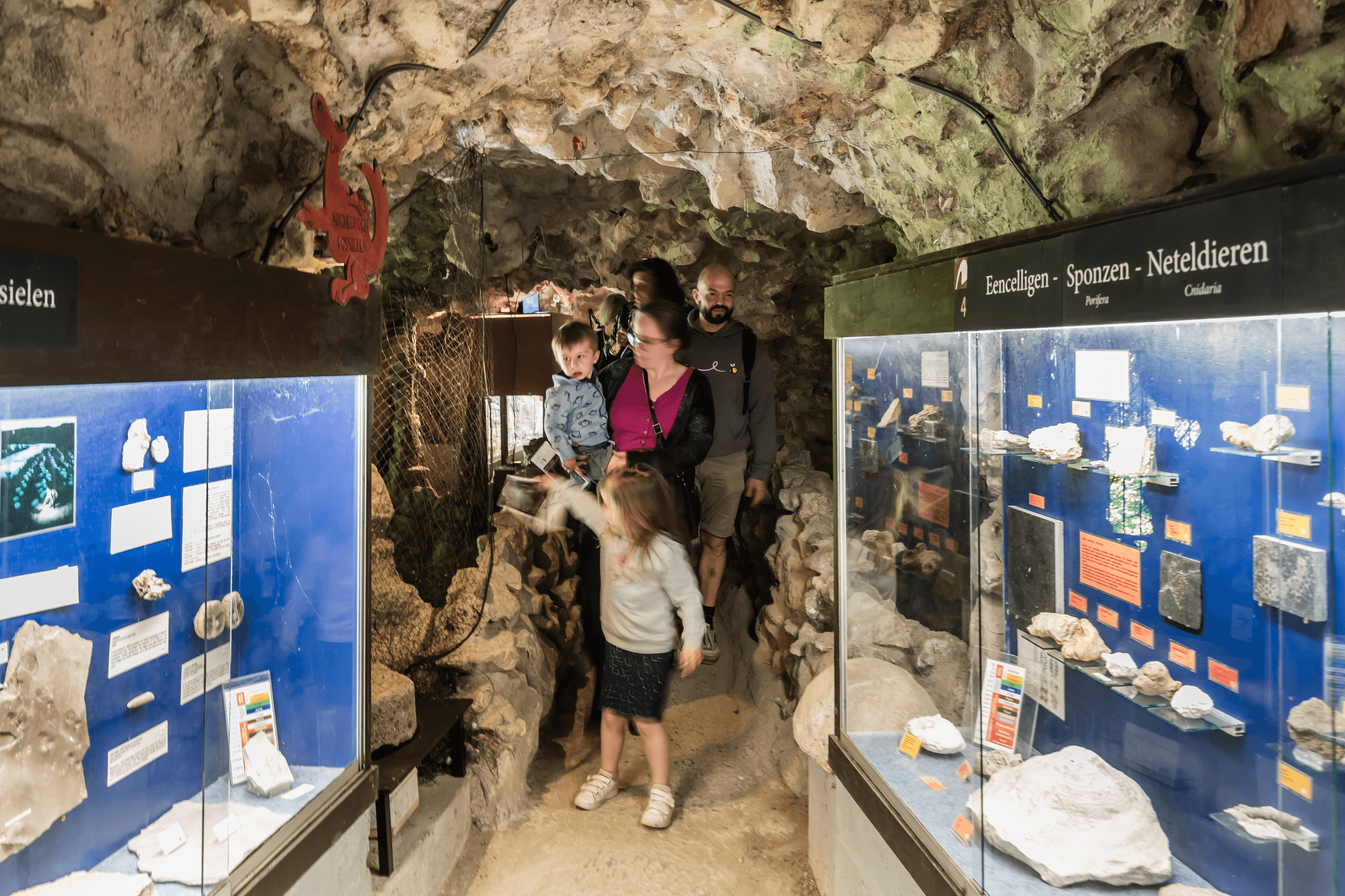 Twee bezoekers met hun kinderen bezoeken een van de zalen van het natuurhistorisch museum. Het oudste kind wijst naar een van de objecten.